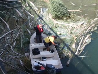 Dos operaris retiren les algues en descomposició al capdavall de la presa de Riba-roja aquest dimarts ACN