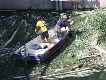 Dos operaris traient les restes d'algues del pantà de Riba-roja ACN