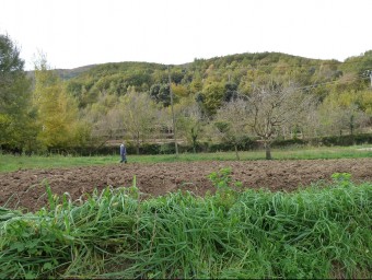 Una vista general del sector dels horts de Soler, a sota mateix de la muntanya de la Salut, a Sant Feliu de Pallerols, on s'estan habilitant els horts per als veïns J.C
