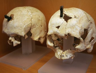 Un dels cranis enclavats trobats en un excavació al Puig de Sant Andreu (Ullastret) MANEL LLADÓ