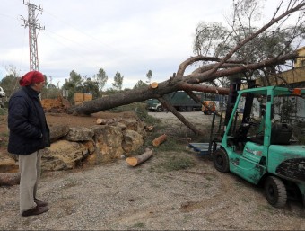 Un arbre tombat sobre l’empresa Sanmy, sortint de Terrassa Quim Puig / Jordi Alemany