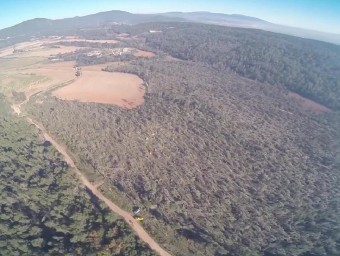 Vista aèria des d'un drone on es veu el bosc de Can Casamada de Castellar literalment planxat ESTIMA CASTELLAR
