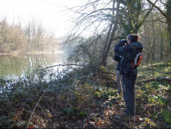 Dos dels participants al cens d'aus aquàtiques d'aquest any al pas del riu Fluvià pel municipi de Besalú. EL PUNT AVUI