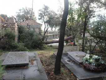 Al cementiri, un dels llocs més afectats, s'han retirat més d'un centenar d'arbres J.A