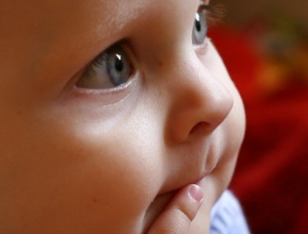 Els nadons ja comprenen els gestos abans de la parla oral SINC/MILAN JUREK