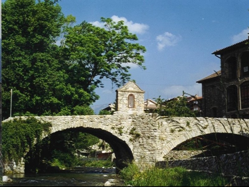 Bagà és un municipi rodejat per rius. El Gréixer connecta amb el Bastareny pocs metres abans d'arribar-hi ARXIU