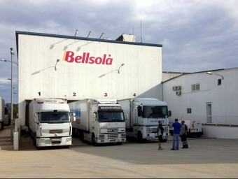 Imatge de la planta de Bellsolà a Aiguaviva.  ARXIU