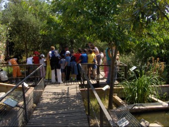 Un grup de visita al centre de tortugues de Garriguella EL PUNT AVUI