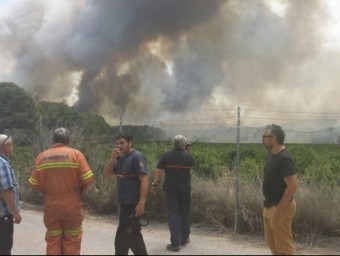Incendi en la zona de la Vallesa del passat mes de juny. EL PUNT AVUI