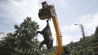  DAVID MDZINARISHVILI / REUTERS