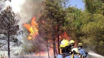 Efectius dels Bombers Voluntaris d'Alcover treballant en l'extinció de l'incendi declarat la zona del Coll de Lilla BVA