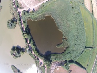 Foto aèria d'una zona de l'estany d'Ivars on es va fer la cerca de nius d'ocells aquàtics ACN