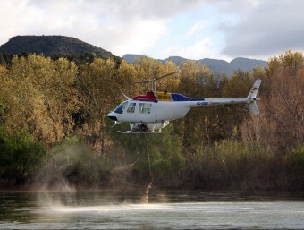 Els tractaments es fan amb l'ús d'un helicòpter, que sobrevola set punts del riu Ebre ACN