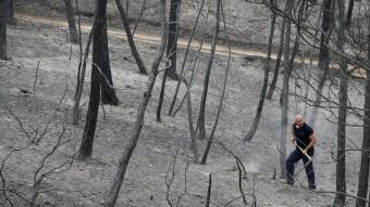 Després del pas del foc, ahir les imatges de desolació i terra cremada eren una constant als boscos i en alguns nuclis habitats de la zona afectada EFE/ REUTERS