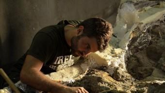 Un paleontòleg netejant un fòssil de dinosaure.  ACN