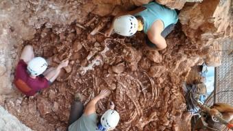 Els paleontòlegs, extraient els ossos a la cova del Rinoceront GRUP DE RECERCA DEL QUATERNARI