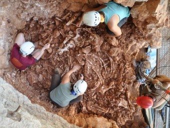 Els paleontòlegs, extraient els ossos a la cova del Rinoceront GRUP DE RECERCA DEL QUATERNARI