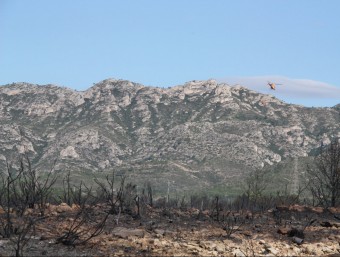 La zona cremada de l'incendi, als barrancs de Cap de Terme i Calafat ACN