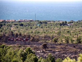 Vista de la zona afectada per l'incendi ACN