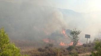 Les flames han cremat unes 15 hectàrees de vegetació a Pinell de Brai BOMBERS DE LA GENERALITAT
