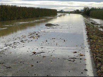 La carretera entre Barbens i Bellpuig, inundada ahir pel Canal d'Urgell D.M