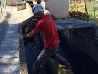 Un bomber treien ahir amb vida un gos d'un conducte amb aigua, a Bianya BOMBERS