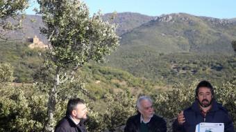 El conseller Santi Vila va visitar les proves pilot que s'estan fent als boscos de Requesens, al municipi de Cantallops, per avaluar la capacitat d'adaptació al canvi climàtic J.CASTRO / ICONNA
