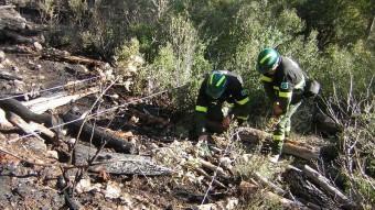Els Agents Rurals cercant proves per determinar la causa de l'incendi forestal que va afectar dimecres a Alcover EPN