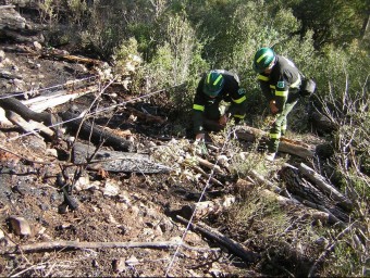 Els Agents Rurals cercant proves per determinar la causa de l'incendi forestal que va afectar dimecres a Alcover EPN