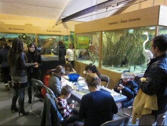 Tallers per als més joves al Museu de la Biodiversitat. B. SILVESTRE