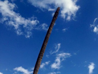 El tronc de la ‘palmera torta' de la plaça de l'Ajuntament de Sitges, caiguda a terra ahir durant la ventada ACN