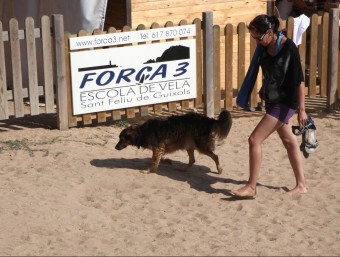 A Sant Feliu de Guíxols es va habilitar una platja per poder-hi portar els gossos el 2012. J.S