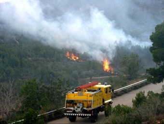 The forest fire in Albinyana, in Baix Penedès, at the start of January, which behaved in a similar manner to a fire in June, according to the fire service. Winter forest fires are becoming more common due to the effects of climate change, argue experts.  EFE