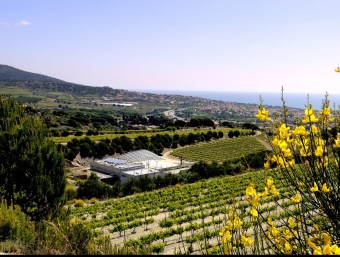 El celler Alta Alella , de Tiana, té a Montgat un magatzem des d'on distribueix els vins.