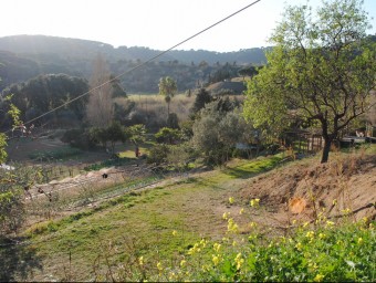 La zona agrícola de Calella, a la part alta de la riera Capaspre, on hi ha hagut robatoris constants JOSEP BUSQUETS