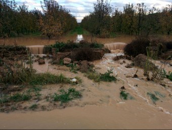 Imatge de les finques inundades per culpa, suposadament, d'una alteració del terreny durant les obres de l'aeroport d'Alguaire. ARXIU/L.S