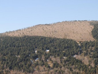 La muntanya de Feitús on s'han estan talant els pins per obrir zones de pastura. EPA