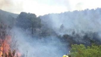 Efectius dels Bombers, treballant ahir diumenge en l'incendi forestal de Llançà ACN