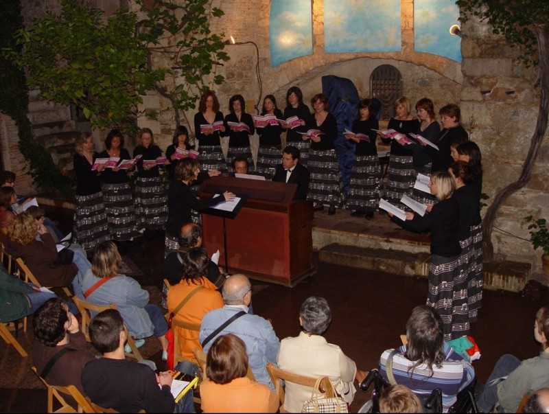 Un concert al Museu dels Jueus de Girona per la Nit dels Museus de l'any 2008. X.C.