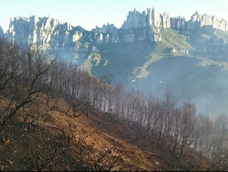 Part de la zona cremada ahir la tarda a Marganell, amb la muntanya de Montserrat al fons BOMBERS