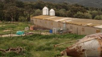 La granja de Cantallops que es preveu ampliar i que ha mobilitzat uns veïns EPA