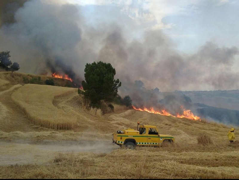L'incendi va afectar superfície agrícola. AGENTS RURALS