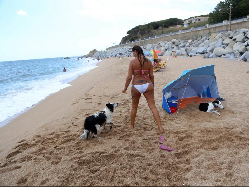 Una banyista amb dos gossos gaudeix dd'una jornada de platja a la zona de les Banyeretes de Sant Pol de Mar aquest estiu QUIM `PUIG
