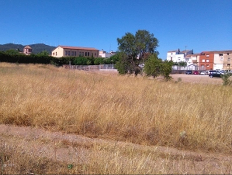 L'Ajuntament del Pla ha adquirit aquests terrenys per fer-hi una pista poliesportiva al costat de l'escola de la vila EPN