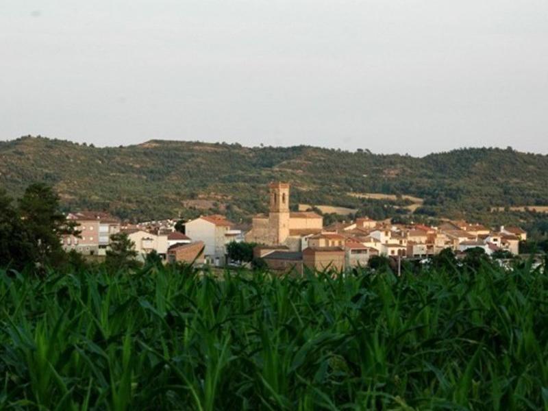 Vista del municipi d'Olvan , on van passar els fets EPA