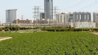 L'augment del sòl urbanitzable fa perillar l'horta valenciana. JOSÉ CUÉLLAR