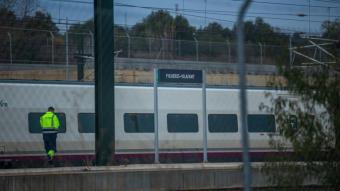 Un tren a l’estació de Figueres-Vilafant