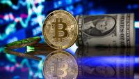 Imatge d’un bitcoin amb un feix de dòlars al costat