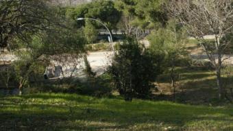 Jardins de Joan Brossa, a la muntanya de Montjuïc
