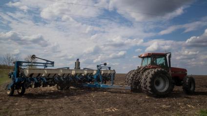 Ucraïna és un dels graners del món. A la imatge, un camp a Dnipro